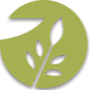 Pythio | Premiium Organic Extra Virgin Olive Oil Logo